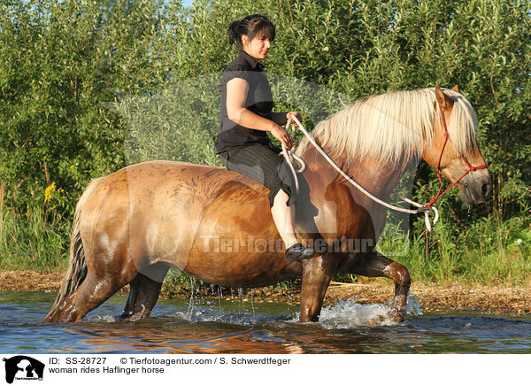 Frau reitet Haflinger / woman rides Haflinger horse / SS-28727