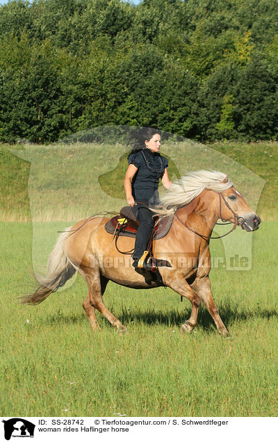 Frau reitet Haflinger / woman rides Haflinger horse / SS-28742