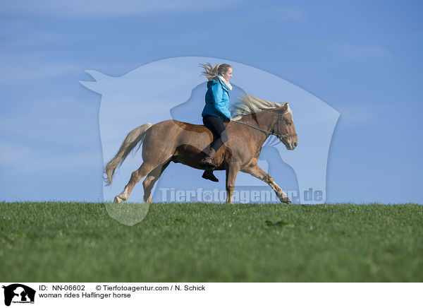 Frau reitet Frau Haflinger / woman rides Haflinger horse / NN-06602