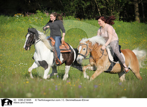 Reiter und Pferde / riders and horses / CDE-01895