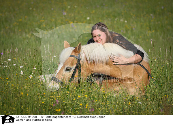 Frau und Haflinger / woman and Haflinger horse / CDE-01898
