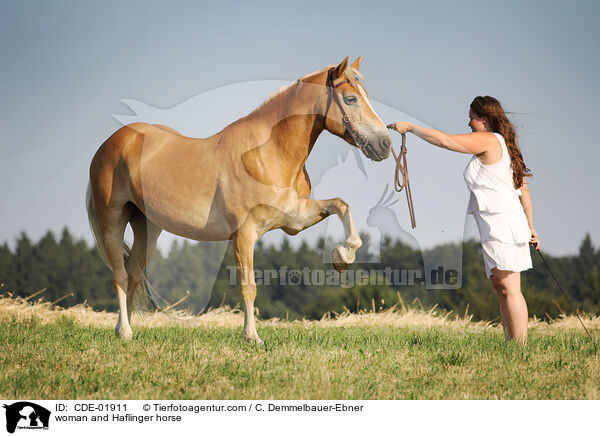 Frau und Haflinger / woman and Haflinger horse / CDE-01911
