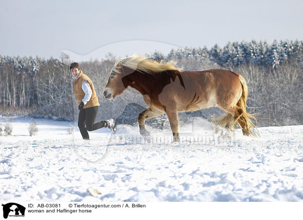 woman and Haflinger horse / AB-03081