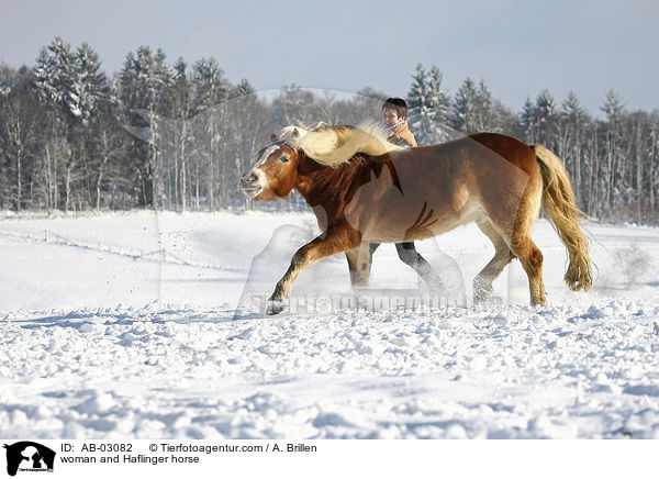 woman and Haflinger horse / AB-03082