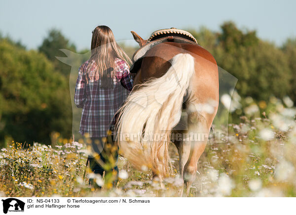 girl and Haflinger horse / NS-04133
