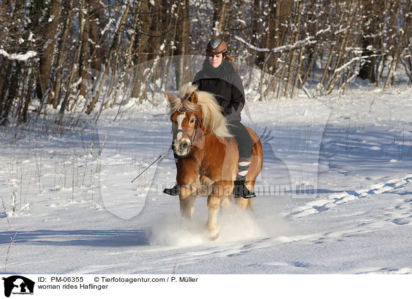 woman rides Haflinger / PM-06355