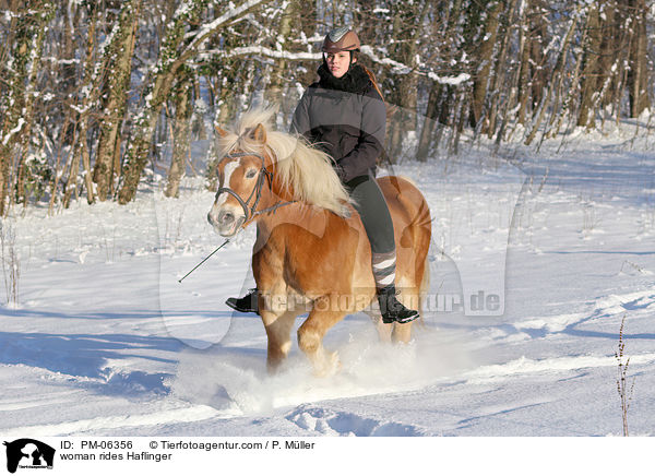 woman rides Haflinger / PM-06356