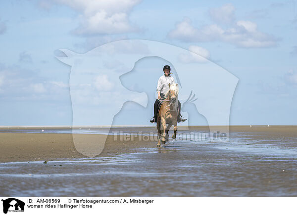 Frau reitet Haflinger / woman rides Haflinger Horse / AM-06569