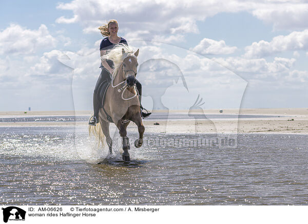 Frau reitet Haflinger / woman rides Haflinger Horse / AM-06626