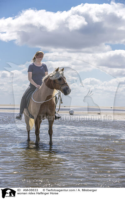 woman rides Haflinger Horse / AM-06633