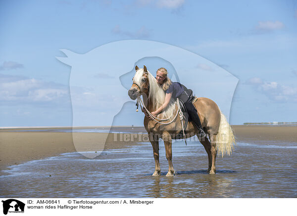 Frau reitet Haflinger / woman rides Haflinger Horse / AM-06641