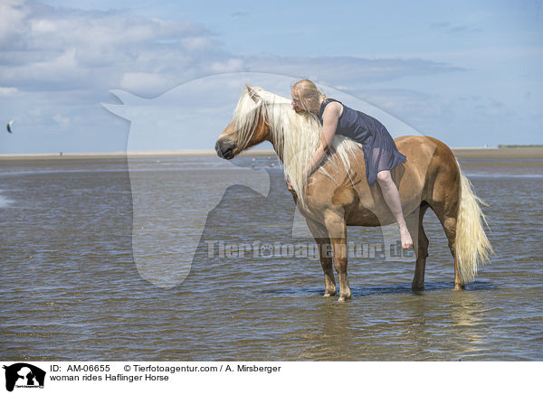 woman rides Haflinger Horse / AM-06655