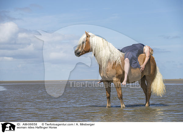 Frau reitet Haflinger / woman rides Haflinger Horse / AM-06658