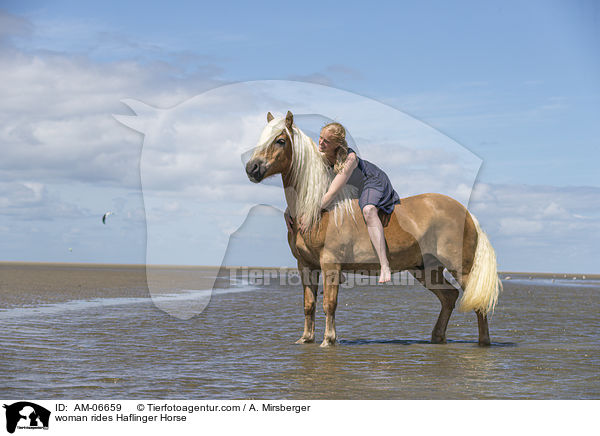 Frau reitet Haflinger / woman rides Haflinger Horse / AM-06659