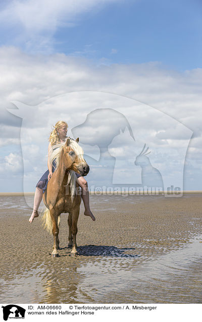 Frau reitet Haflinger / woman rides Haflinger Horse / AM-06660