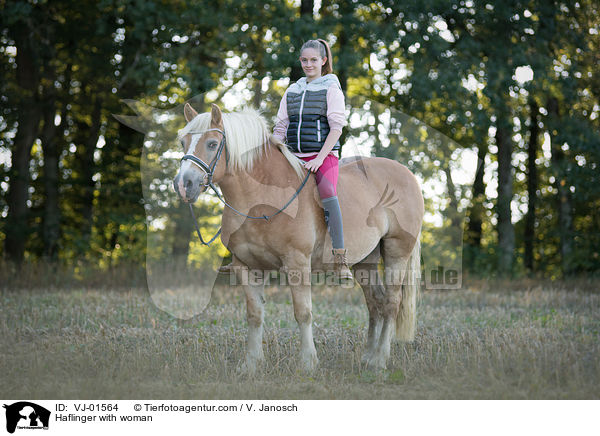 Haflinger with woman / VJ-01564