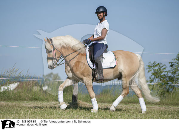 woman rides Haflinger / NS-05785