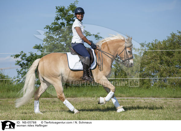 woman rides Haflinger / NS-05788