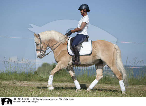 woman rides Haflinger / NS-05792