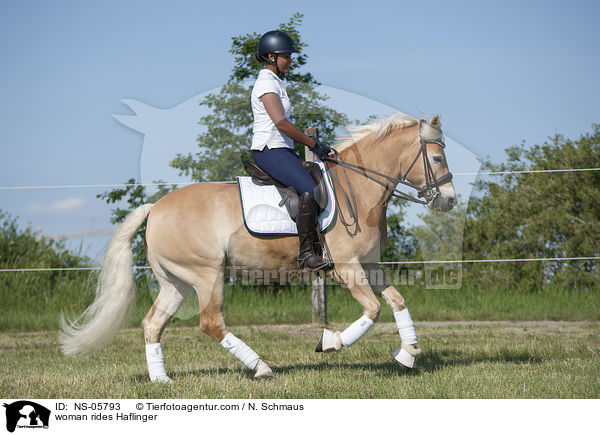 woman rides Haflinger / NS-05793