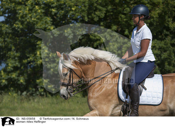Frau reitet Haflinger / woman rides Haflinger / NS-05858