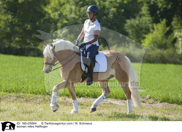 Frau reitet Haflinger / woman rides Haflinger / NS-05864
