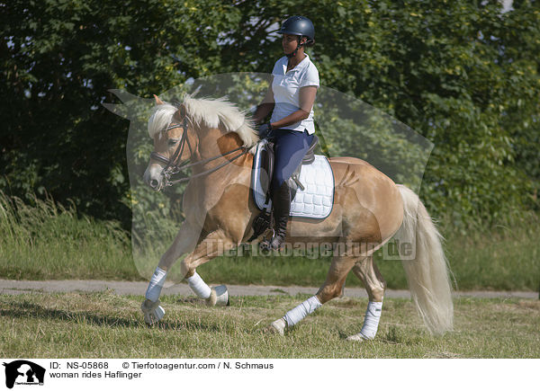 woman rides Haflinger / NS-05868