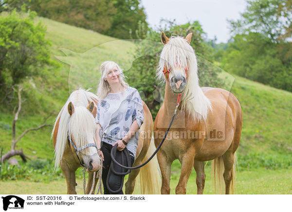woman with Haflinger / SST-20316