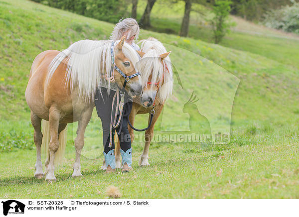 woman with Haflinger / SST-20325
