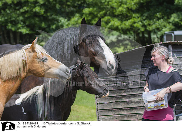 woman with 3 Horses / SST-20487