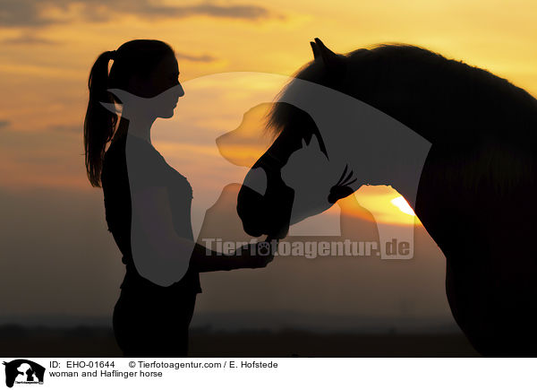 woman and Haflinger horse / EHO-01644