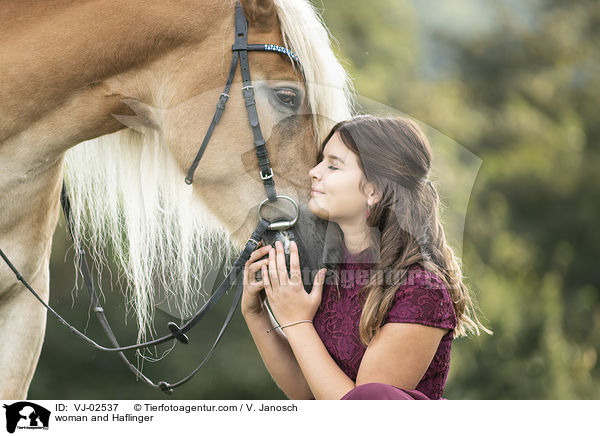 woman and Haflinger / VJ-02537
