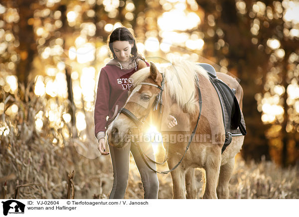 woman and Haflinger / VJ-02604