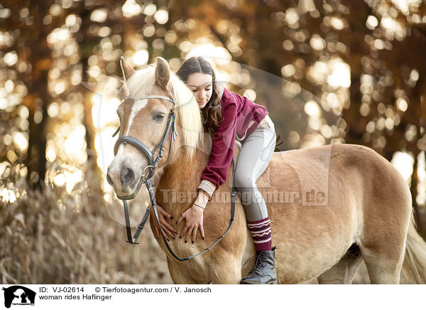 Frau reitet Haflinger / woman rides Haflinger / VJ-02614