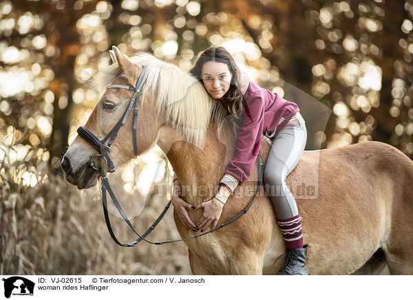 Frau reitet Haflinger / woman rides Haflinger / VJ-02615
