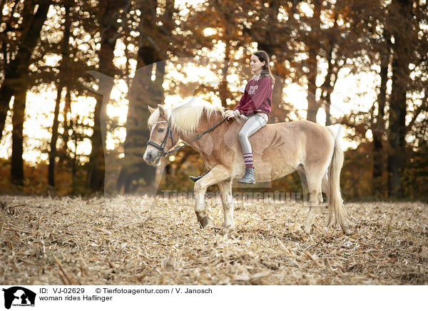 Frau reitet Haflinger / woman rides Haflinger / VJ-02629