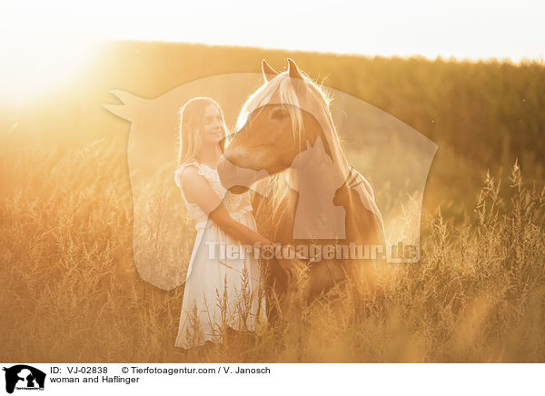 Frau und Haflinger / woman and Haflinger / VJ-02838
