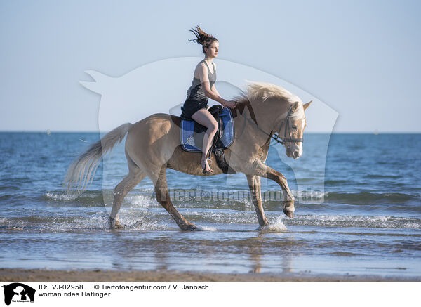 Frau reitet Haflinger / woman rides Haflinger / VJ-02958