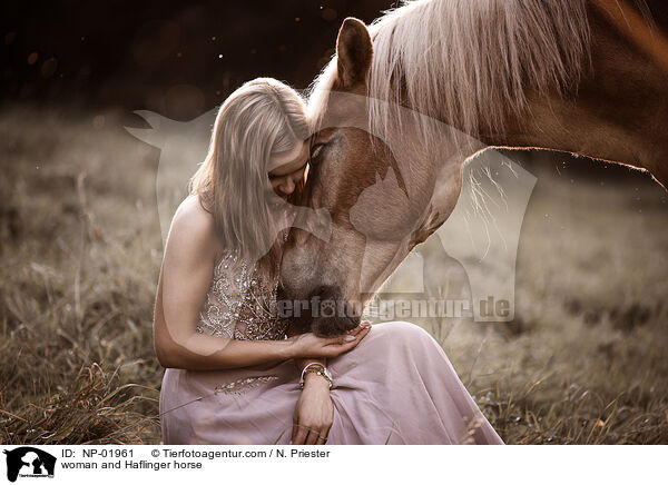 Frau und Haflinger / woman and Haflinger horse / NP-01961