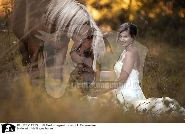 bride with Haflinger horse / IFE-01213