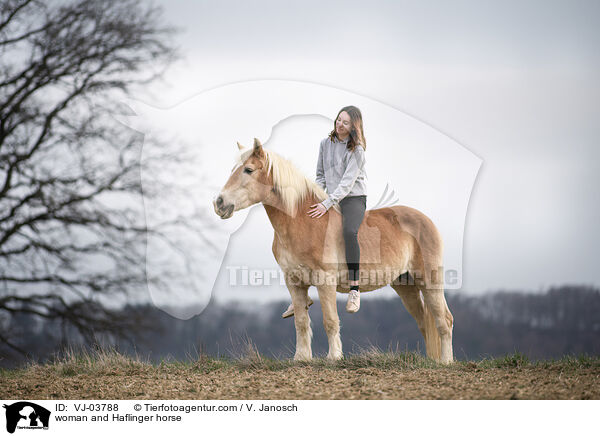 woman and Haflinger horse / VJ-03788