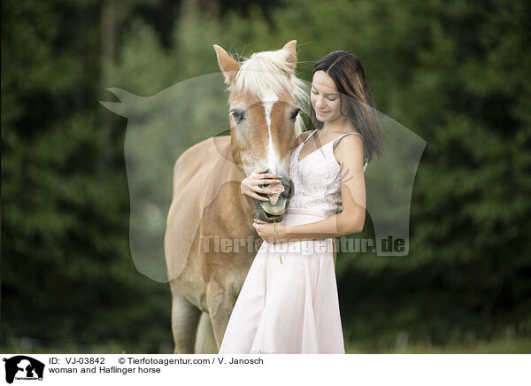 woman and Haflinger horse / VJ-03842
