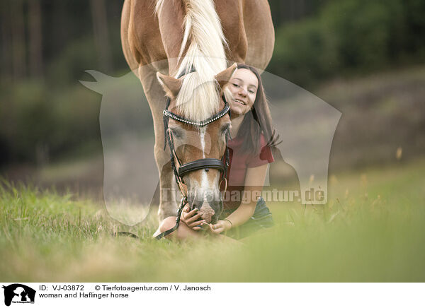 woman and Haflinger horse / VJ-03872