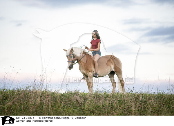 Frau und Haflinger / woman and Haflinger horse / VJ-03876