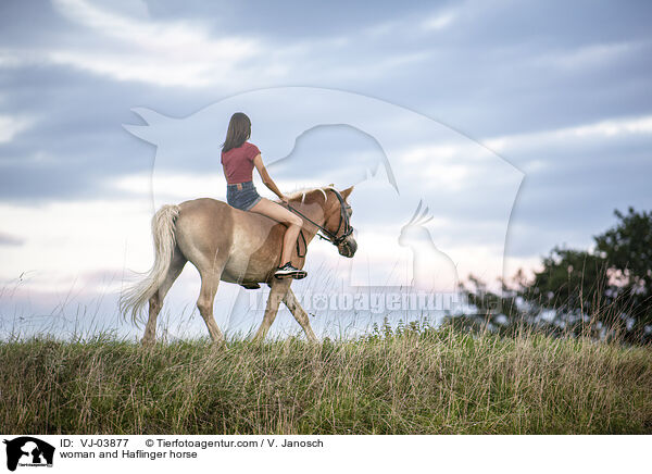 woman and Haflinger horse / VJ-03877
