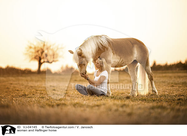 woman and Haflinger horse / VJ-04145