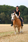 woman rides Haflinger horse