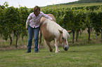woman with Haflinger horse