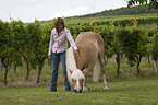 woman with Haflinger horse
