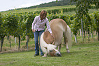 woman with Haflinger horse